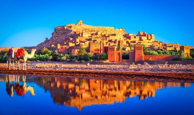 Ait-Benhaddou, Ouarzazate, Fas: Kil ve kerpiç mimarisinden yapılmış ünlü bir çar önünde kunduzun yanından geçen develer. Kuzey Afrika