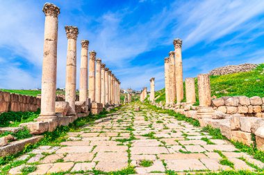 Jerash Arkeoloji Şehri, Ürdün: Roma 'nın antik Roma şehri Gerasa modern Jerash' taki Cardo Maximus. Orta Doğu