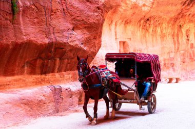 Petra, Ürdün: At, turistler için Siq kanyonu üzerinden Hazine 'ye nakliye aracı çekiyor. Ortadoğu seyahat hedefi