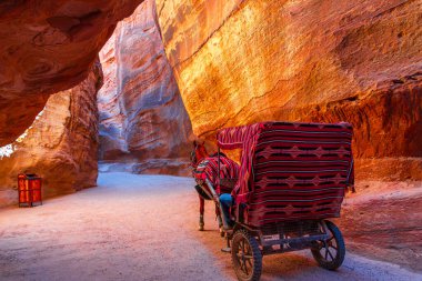 Petra, Ürdün: At, turistler için Siq kanyonu üzerinden Hazine 'ye nakliye aracı çekiyor. Ortadoğu seyahat hedefi