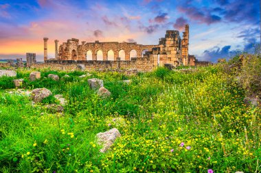 Volubilis, Fas: Bazilikanın dış duvarı, gün batımında Korint sütunlarıyla. Tarihi şehir Roma Mauretania, Kuzey Afrika