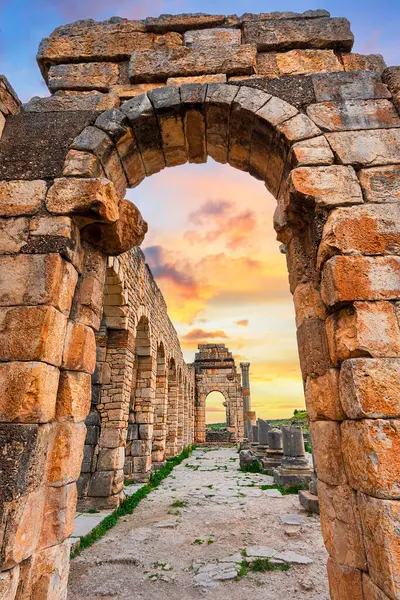 Volubilis, Fas: Bazilikanın dış duvarı, gün batımında Korint sütunlarıyla. Tarihi şehir Roma Mauretania, Kuzey Afrika