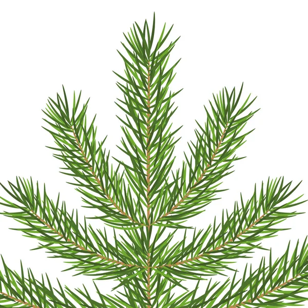 Topo Árvore Natal Verde Abeto Vetor Ilustração — Vetor de Stock