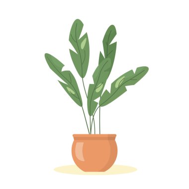 Kil çömlek vektör illüstrasyonunda yeşil ev bitkisi