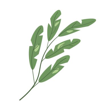 Yeşil yapraklı dal - vektör illüstrasyonu