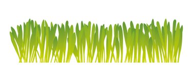 Taze yeşil çimen ve yulaf yapraklı pankart - vektör illüstrasyon