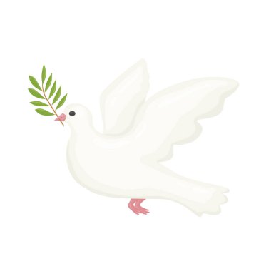 white dove with olive twig, symbol of peace, freedom and Holy Spirit -vector illustration