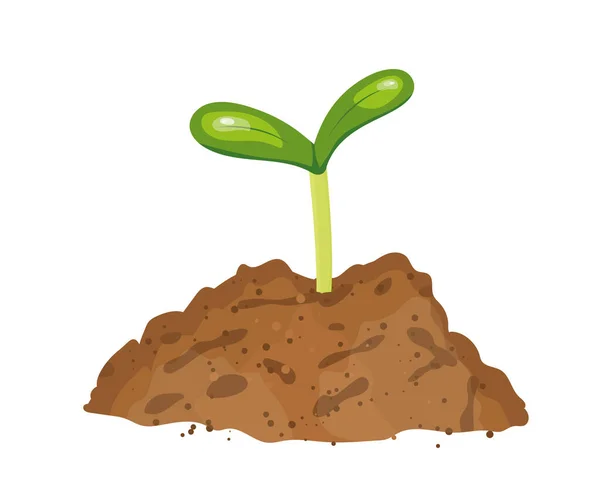 土壌から成長する若い植物 新しい生命の概念 ベクトル図 — ストックベクタ
