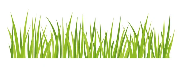 緑の草の刃 ベクトル図 — ストックベクタ