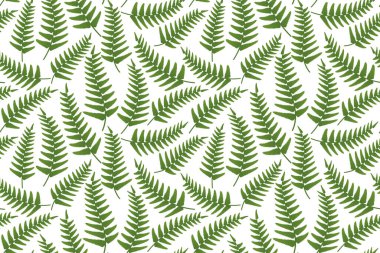 Yeşil orman eğreltiotu yapraklı kusursuz yaz deseni - vektör illüstrasyonu