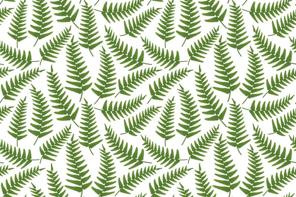 Seamless Summer Pattern Green Forest Fern Leaves Vector Illustration — Stock Vector