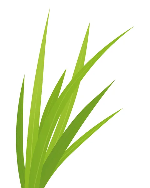 Lames Herbe Verte Illustration Vectorielle — Image vectorielle