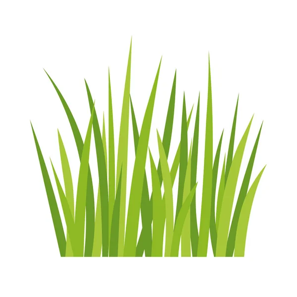 Beyaz Arkaplanda Yeşil Çimenlerin Yaprakları Vektör Illüstrasyonu — Stok Vektör
