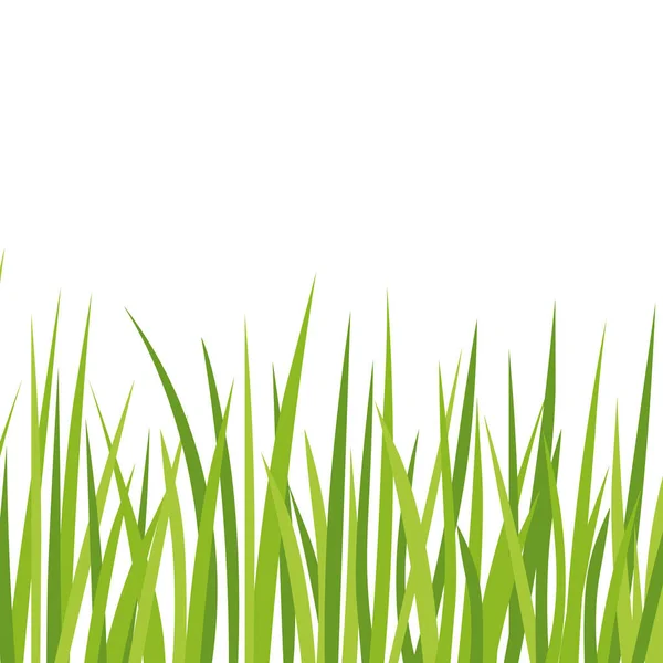 コピースペースのある緑の草の刃 ベクトル図 — ストックベクタ