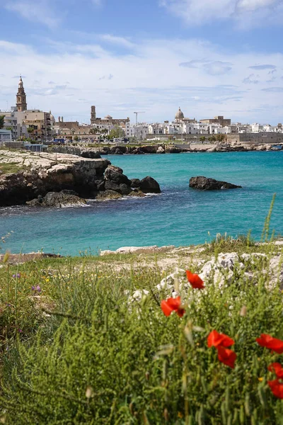 Skaliste Wybrzeże Turkusowe Morze Stare Miasto Malowniczego Monopoli Puglia Włochy — Zdjęcie stockowe