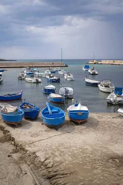 Fischerboote Hafen Von Torre Mare Apulien Italien — Stockfoto