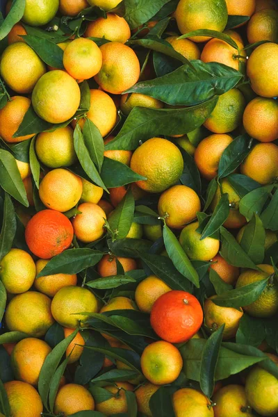 Frutas Naranja Con Hojas Mercado Local — Foto de Stock