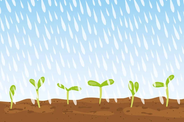Genç Bitkilerin Üzerine Düşen Yağmur Damlaları Vektör Çizimi — Stok Vektör