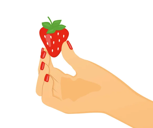 Hand Houden Zoete Aardbeien Fruit Vector Illustratie — Stockvector