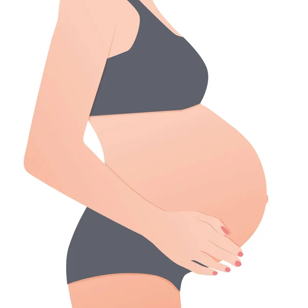 Stehende Frau Unterwäsche Und Berührung Ihres Dicken Bauches Schwangerschaftszeit Babyerwartung — Stockvektor