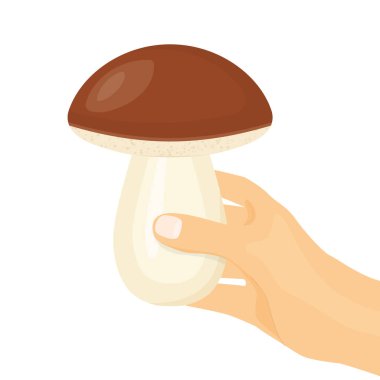 hand holding forest edible mushroom (Boletus, porcini)- vector illustration