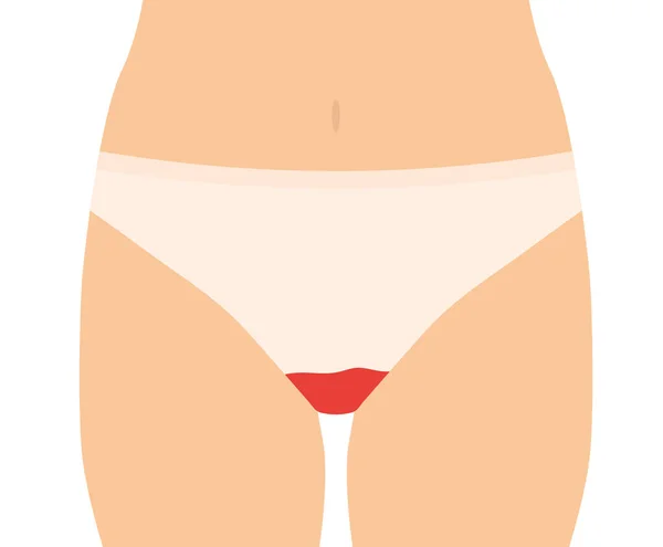 Menstruatiebloed Slipje Vector Illustratie — Stockvector