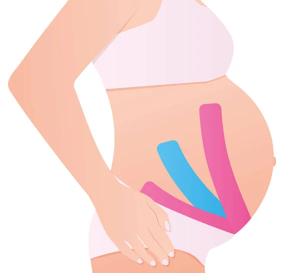 孕妇的动力学录像 病媒图解 — 图库矢量图片