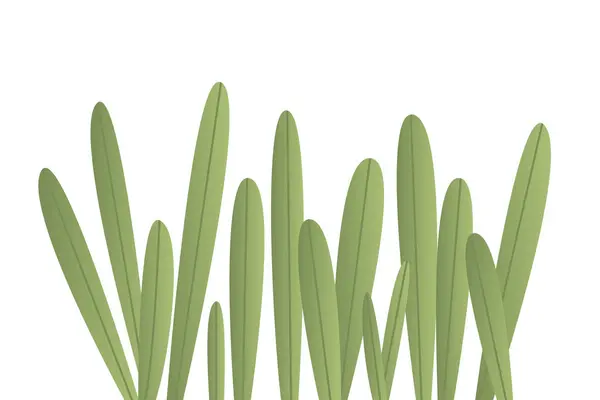 Lâminas Grama Verde Ilustração Vetorial — Vetor de Stock