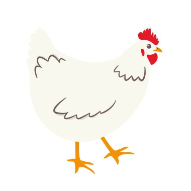 beyaz tavuk simgesi - vektör illüstrasyonu