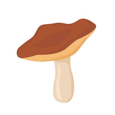 Yenilebilir orman mantarı - vektör çizimi