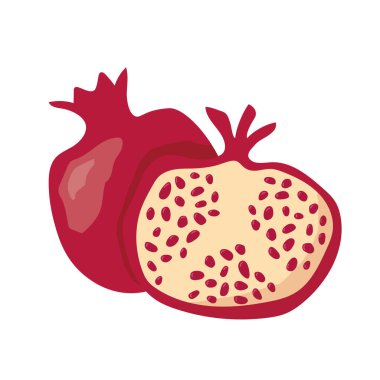 nar tropikal meyvesi - vektör illüstrasyonu