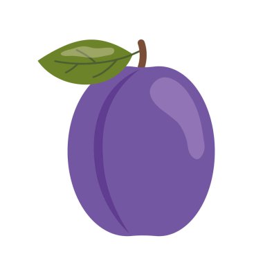 Erik meyve simgesi - vektör illüstrasyonu