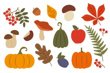 Sonbahar tasarım elementleri: elma, mantar, balkabağı, erik, rowan, eğreltiotu, kestane ağacı, meşe palamudu ve yapraklar