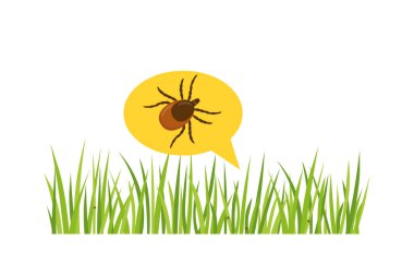 Çimenlikteki kene böceği, eğitim materyalleri için ideal, sağlık farkındalığı kampanyaları, Lyme kavramı - vektör illüstrasyonu