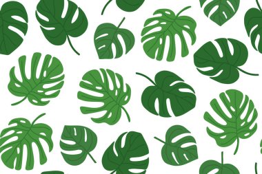 Monstera palmiyesi pürüzsüz desen bırakır; tekstil, duvar kağıtları, ambalaj ve tropikal temalı tasarım projeleri için idealdir.