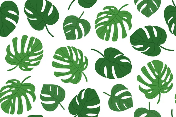 Monstera palmiyesi pürüzsüz desen bırakır; tekstil, duvar kağıtları, ambalaj ve tropikal temalı tasarım projeleri için idealdir.