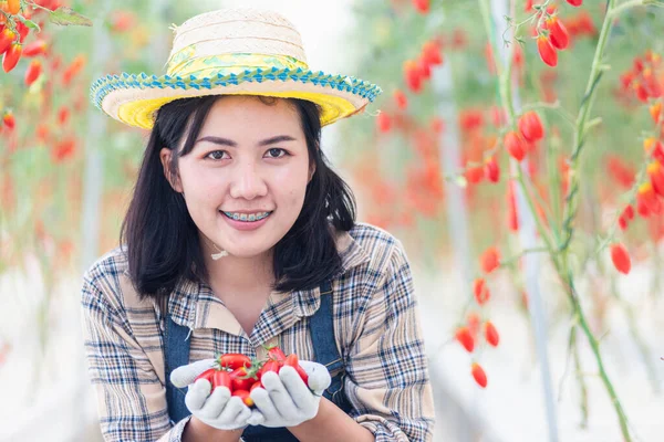 Porträt Der Bäuerin Junge Frau Uniform Lächelnd Mit Frischen Roten — Stockfoto