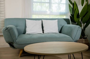 Minimum oturma odası. Rahat, modern yeşil kanepe. Ev güneşli bir günde pencerenin yanında.