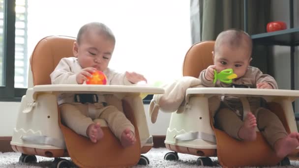 Asiático Gemelos Bebés Sentados Silla Seguridad Silla Puede Utilizar Para — Vídeo de stock