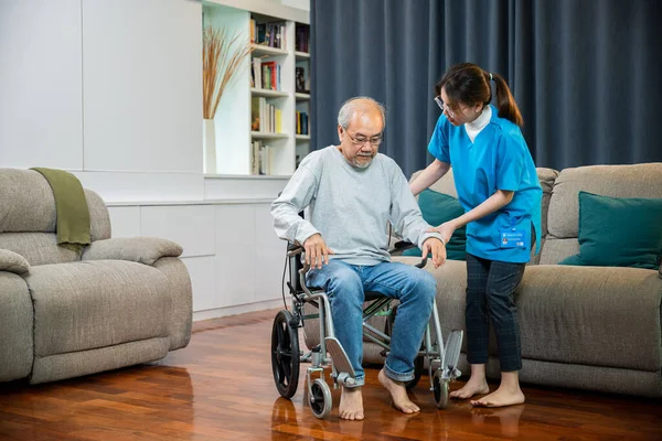 Doctor support old man to getting up to exercise, help handicapped elderly stand up, Asian woman nurse helping senior man patient get up from wheelchair for practice walking at home, physical therapy