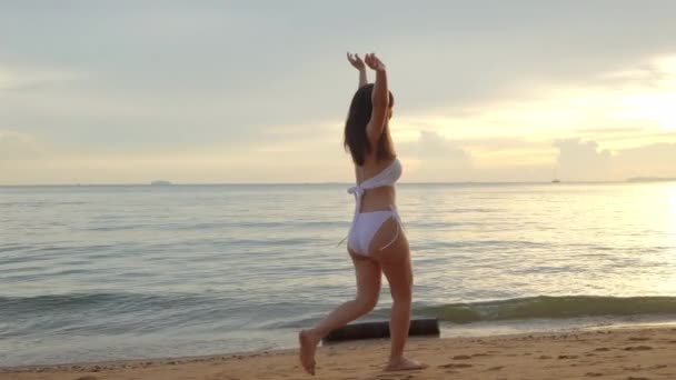 Widok Tyłu Młoda Piękna Kobieta Nosi Strój Kąpielowy Bikini Spacerując — Wideo stockowe