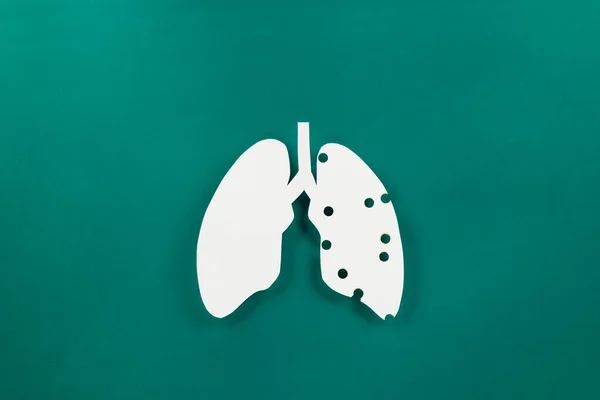 World Tuberculosis Day Top View Lungs Paper Decorative Symbol Green — Stock Photo, Image