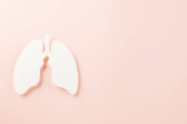 World tuberculosis day. Top view Lungs paper decorative symbol on pink background, copy space, concept of world TB day, no tobacco, Medical and healthcare, lung cancer awareness, 24 March