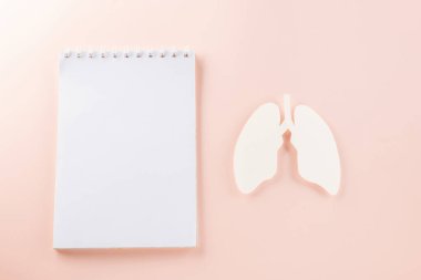 World Tuberculosis Day. Overhead lungs paper symbol, medical stethoscope and notebook paper on pastel pink background, lung cancer awareness, copy space concept of world TB day