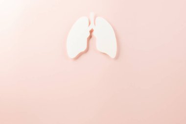 World tuberculosis day. Top view Lungs paper decorative symbol on pastel pink background, copy space, concept of world TB day, no tobacco, Medical and healthcare, lung cancer awareness, 24 March