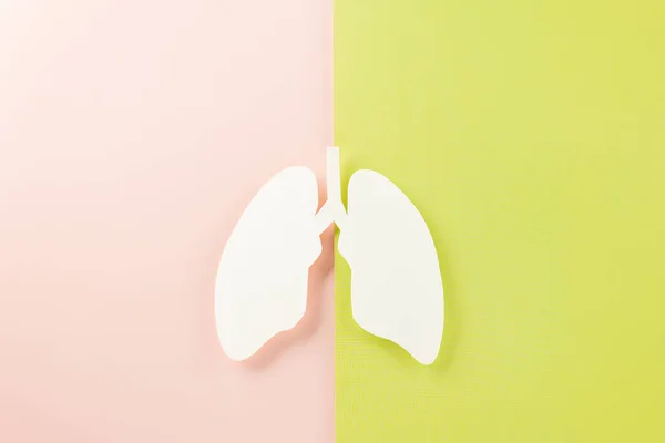 Всесвітній День Туберкульозу Вид Зверху Паперовий Декоративний Символ Рожевому Зеленому — стокове фото