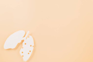 World tuberculosis day. Lungs paper cutting symbol on pastel background, copy space, concept of world TB day, banner background, respiratory diseases, lung cancer awareness, Paper Art, 24 March