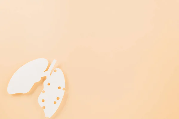 世界结核病日 隆氏切纸术的背景 复制空间 世界结核病日的概念 横幅背景 呼吸道疾病 肺癌意识 3月24日 — 图库照片