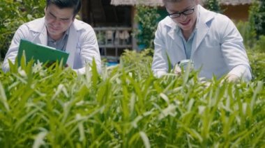 Profesyonel tarım araştırmacısı, elinde büyüteç tutan ve hastalık için hidroponik çiftliğindeki sebze yaprağına bakan iki biyoteknoloji mühendisi, panoya not alıyor.
