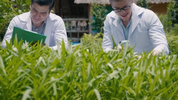 虫眼鏡をかけ 病気のための水耕栽培の野菜の葉を見ている2人のバイオテクノロジーの男のエンジニア 専門の研究者農業科学者はクリップボードにメモを取る — ストック動画
